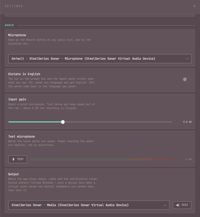 Audio settings section: a Microphone picker, the Dictate in English toggle, an Input gain slider reading 0.0 dB, a Test microphone button beside a level meter, and an Output device picker with its own Test button